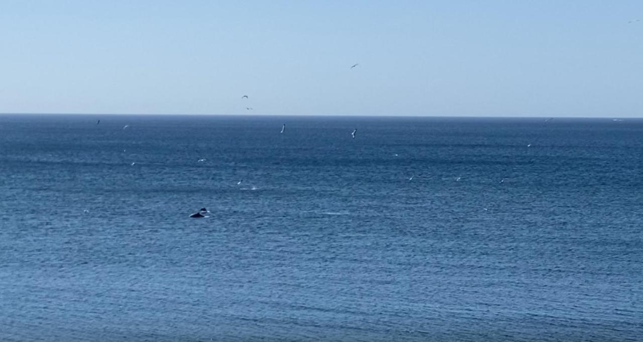 Apartmán Casa De Playa Estepona Exteriér fotografie